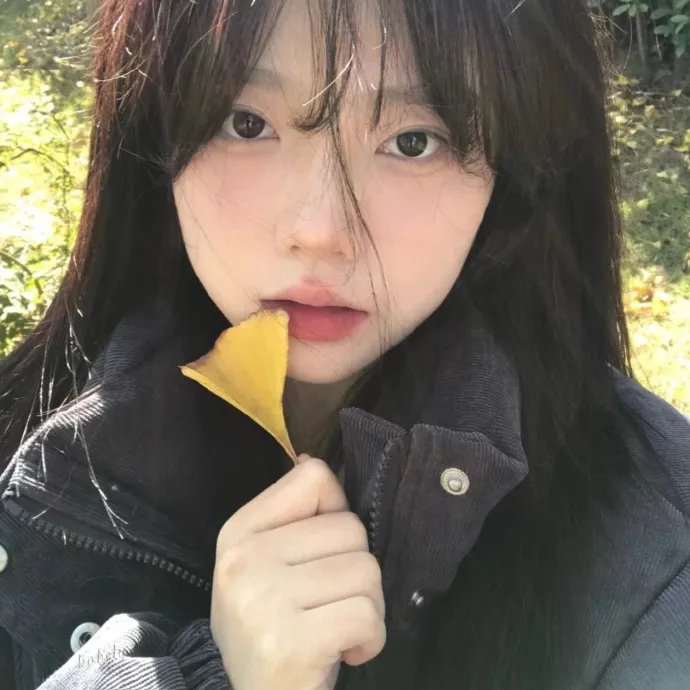 少年林肯